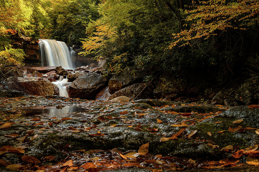 Douglas Falls Photograph by Michael Bowen - Fine Art America