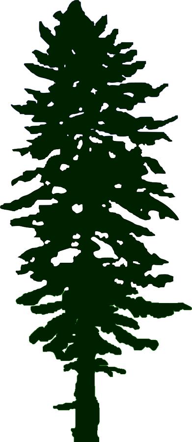 Douglas Fir Tree of Cascadian Flag Digital Art by A Z - Pixels