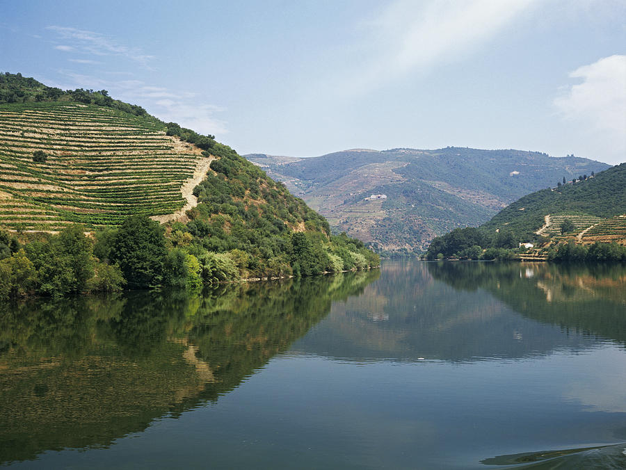Douro river and valley Photograph by Image Source