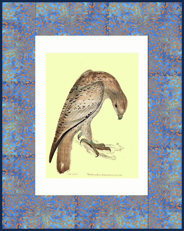 Dove and Batik frame Digital Art by Lorena Cassady