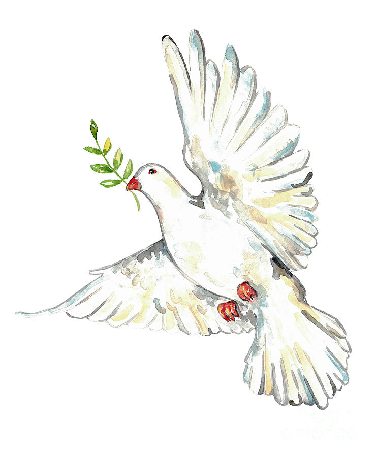 Dove bird Peace Painting Wall Poster Watercolor Painting by Maryna ...