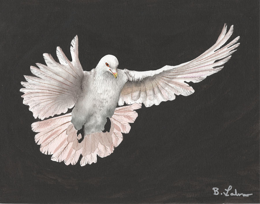 Dove Descending Painting by Bob Labno