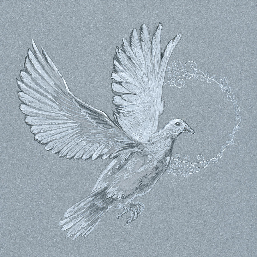 Dove in Flight Septembird 2017 Drawing by Katherine Nutt - Fine Art America