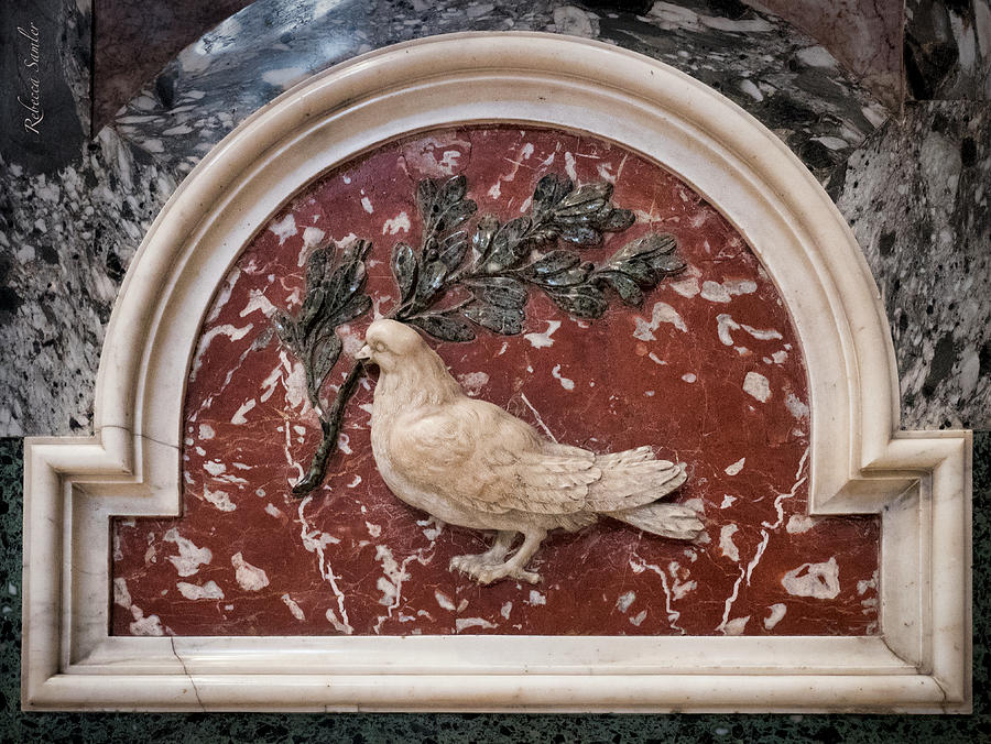 Dove of Peace Photograph by Rebecca Samler