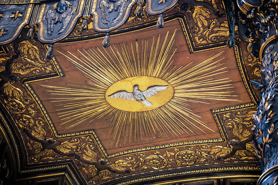 Dove of the Holy Spirit Photograph by Artur Bogacki