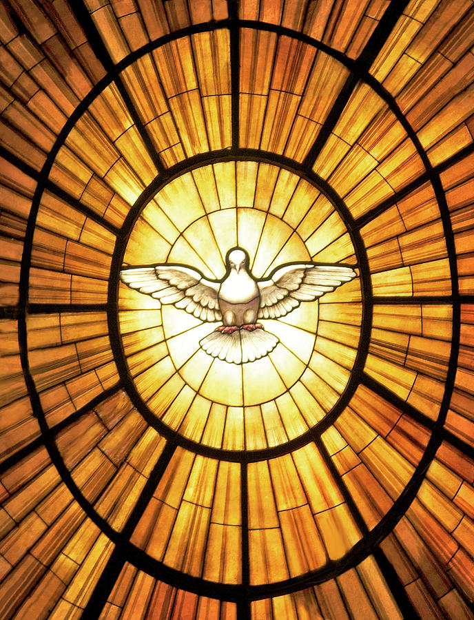 Dove of the Holy Spirit Window Digital Art by Gian Lorenzo Bernini