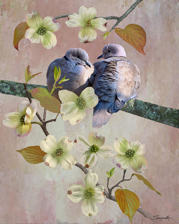 Doves and Dogwood Digital Art by Spadecaller