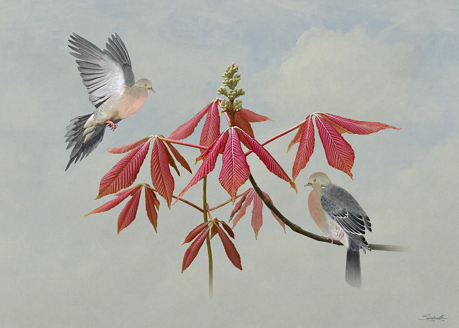 Doves and Painted Buckeye Tree Digital Art by M Spadecaller