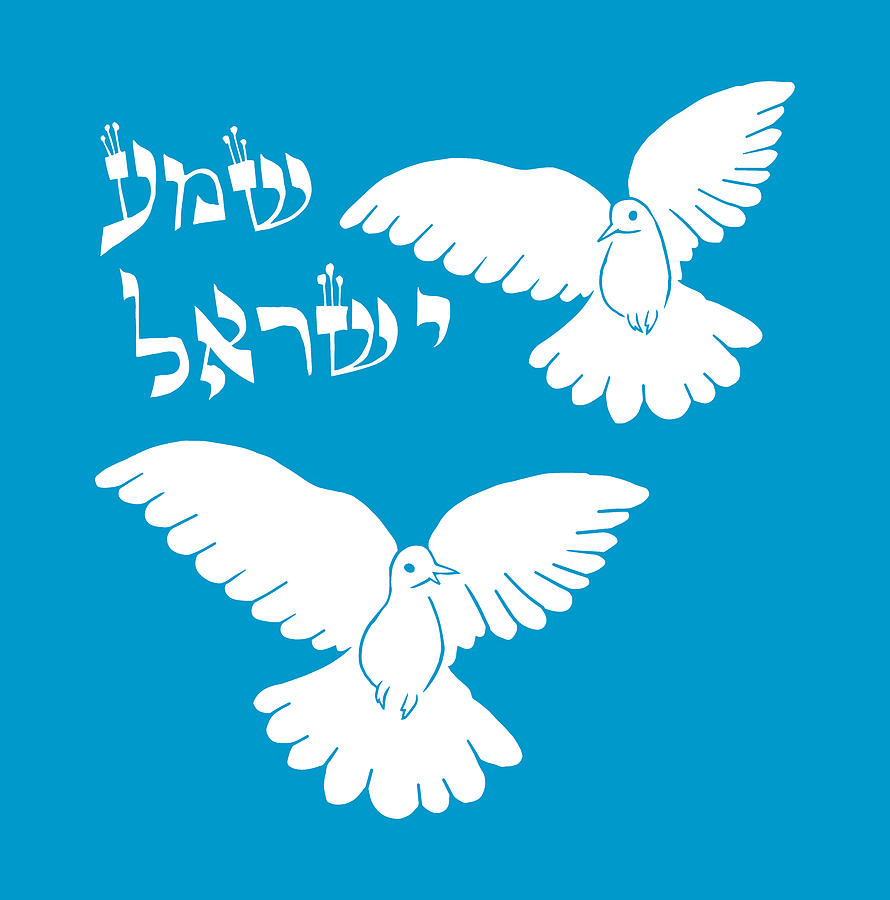 Doves White Painting by Yom Tov Blumenthal