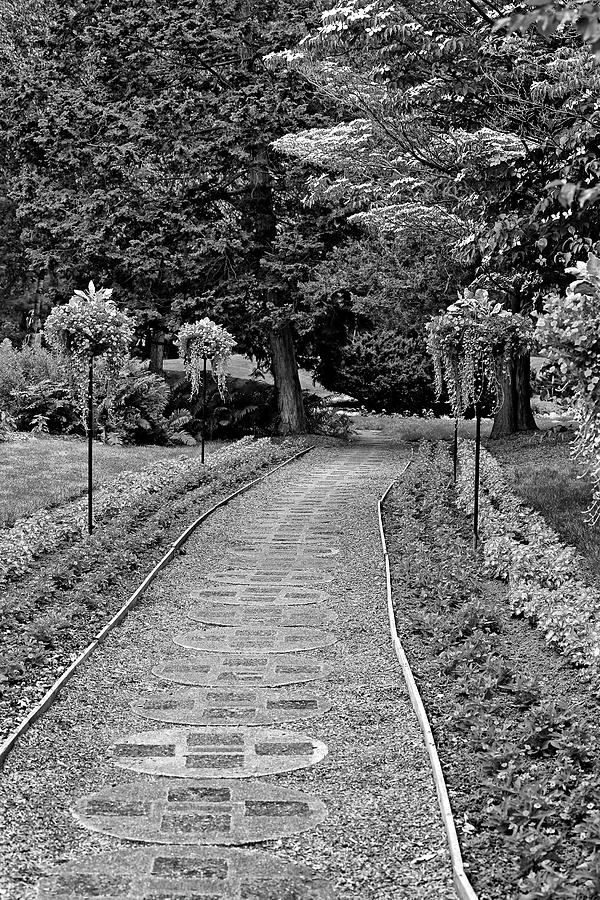 Dow Gardens Path 1 BW Photograph by Mary Bedy