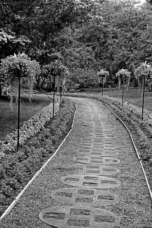 Dow Gardens Path 2 BW Photograph by Mary Bedy