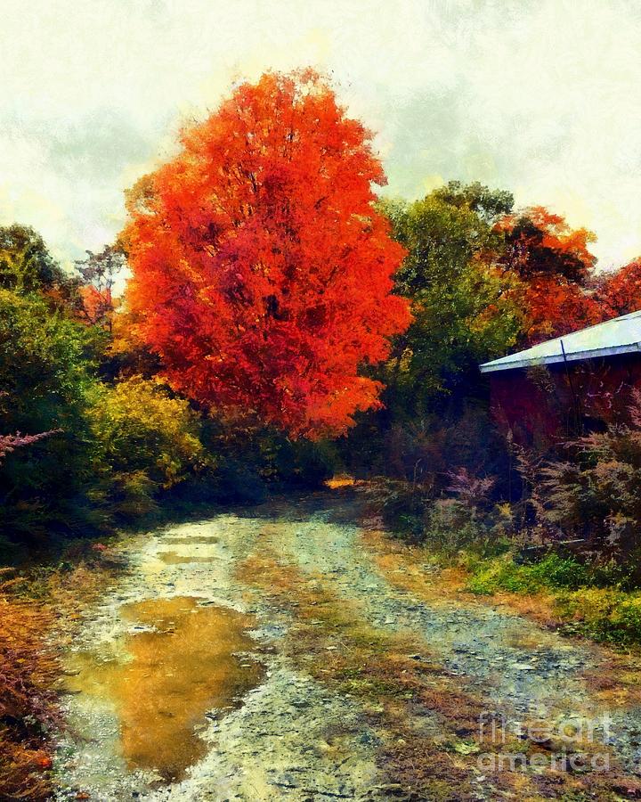 Down a Country Road - Autumn Photograph by Janine Riley