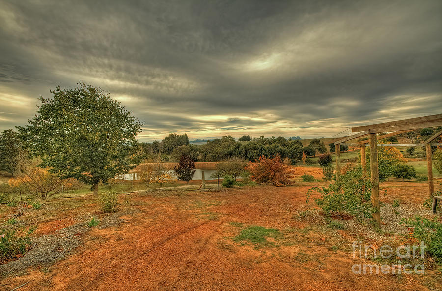 Down at the Farm, Bridgetown, Western Australia Photograph by Elaine Teague