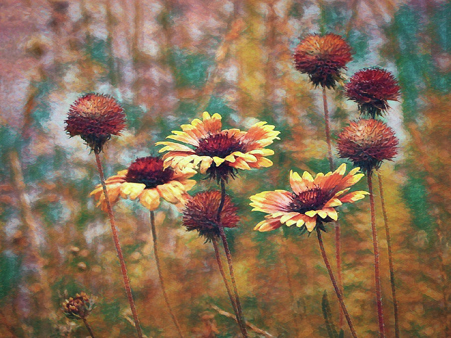 Flower Digital Art - Down by the River 2 Da by Ernest Echols