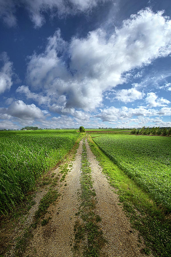 Down Country Roads Photograph by Phil Koch