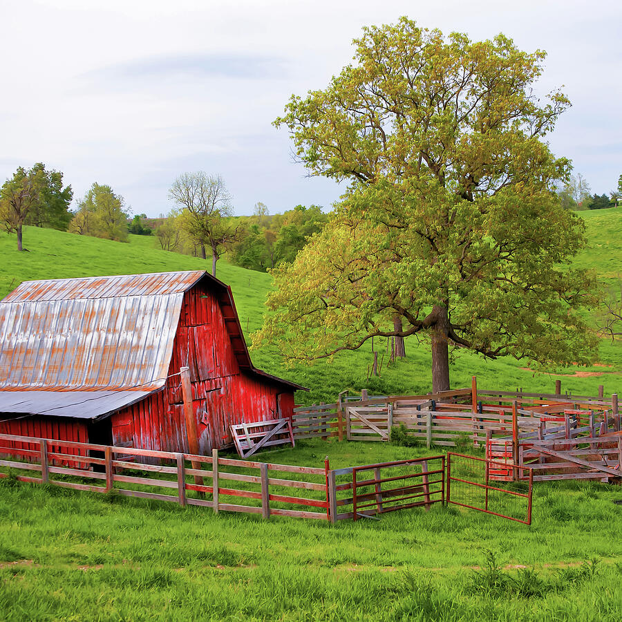 Down On The Farm - Arkansas Ozark Rural Splendor Photograph by Gregory Ballos Down On The Farm - Arkansas Ozark Rural Splendor Photograph by Gregory Ballos