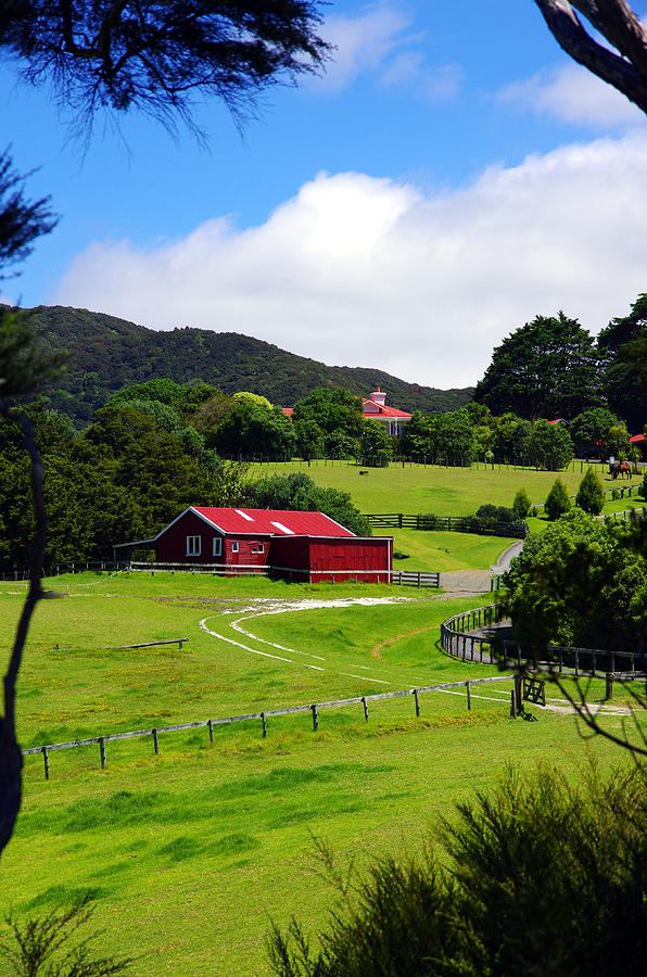 Down on the Farm - Auckland, New Zealand Photograph by Kenneth Lane Smith
