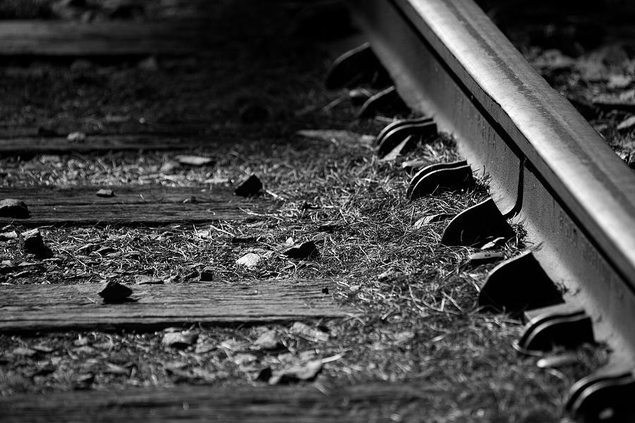 Down On The Rails Photograph by Karol Livote