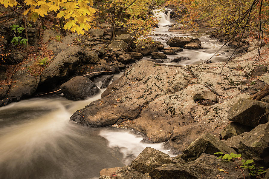Down Stream by Kristopher Schoenleber Down Stream by Kristopher Schoenleber