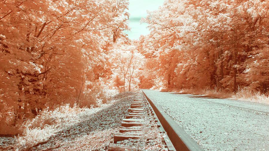 Down the Amber Train Tracks in Beacon, NY Photograph by Auden Johnson