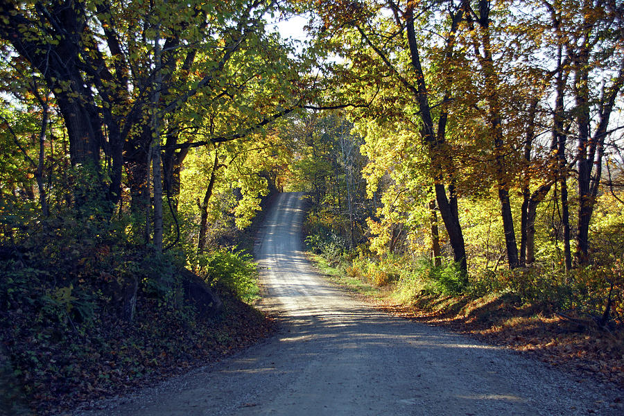 Down the Autumn Road Photograph by Mike Murdock