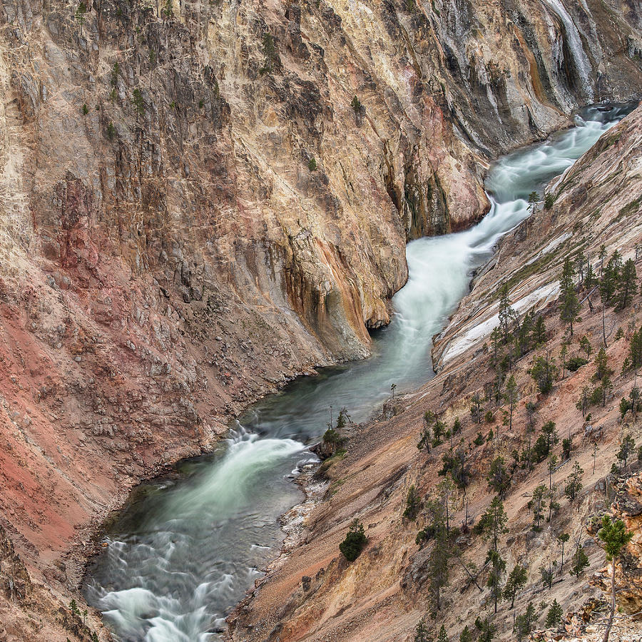 Down the Canyon Photograph by Greg Nyquist