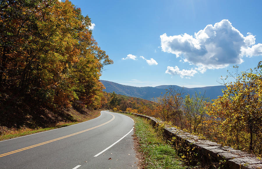 Down The Drive Photograph by David Beard - Fine Art America