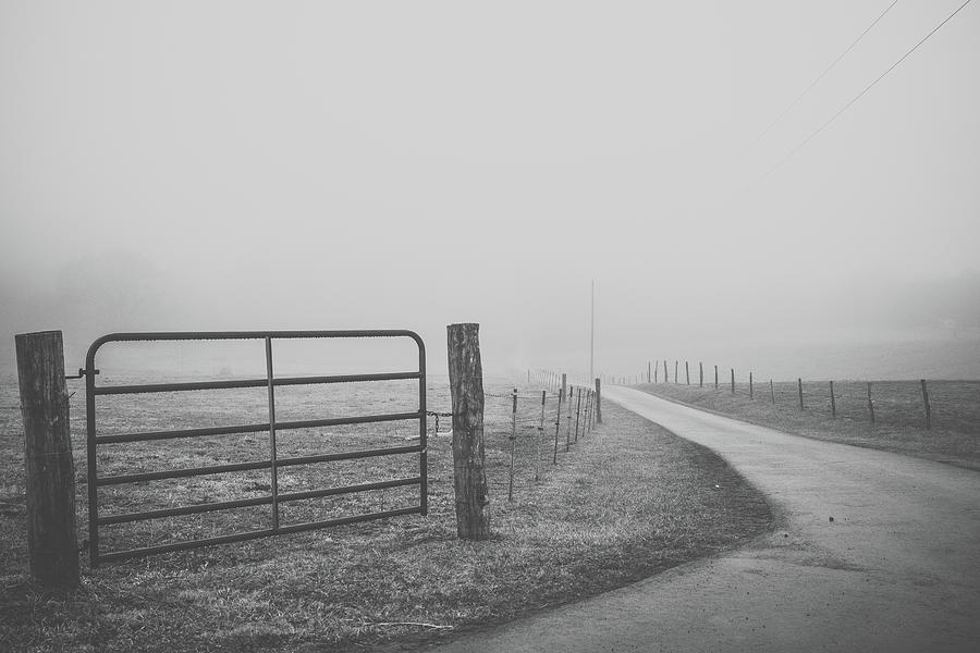 Down the Foggy Road 1 Photograph by Joni Eskridge