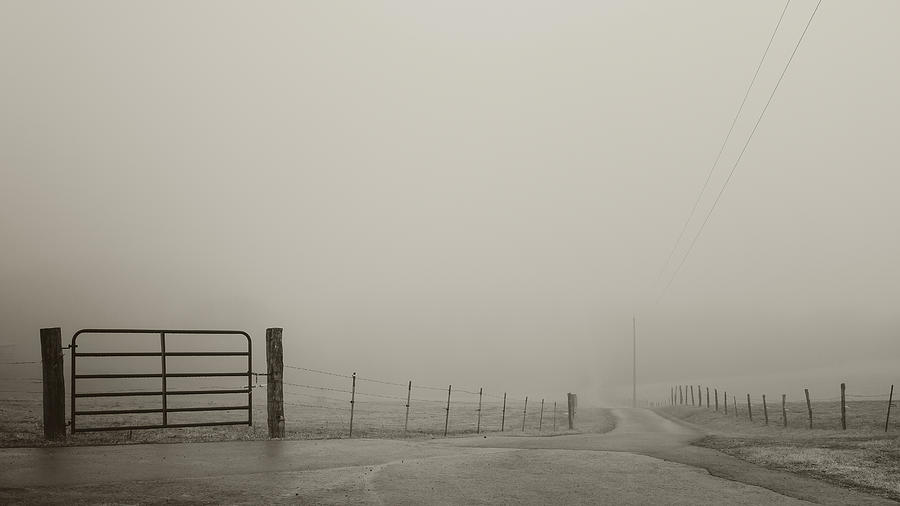 Down the Foggy Road 2 Photograph by Joni Eskridge