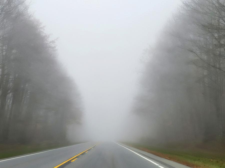 Down the Foggy Road Photograph by Ally White