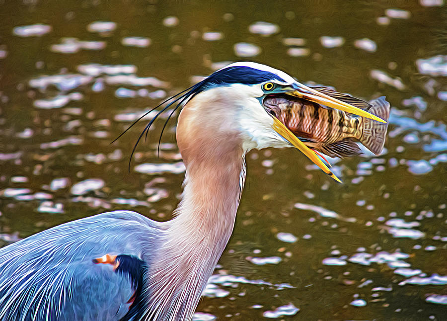 Down the Hatch Photograph by Lori Vetter Photography