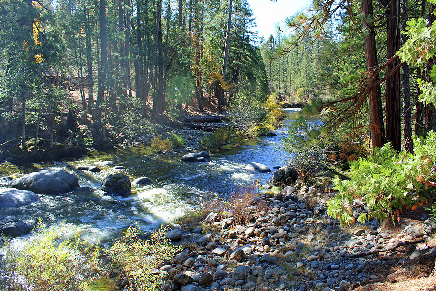 Downstream Autumn View Photograph by Eric Forster