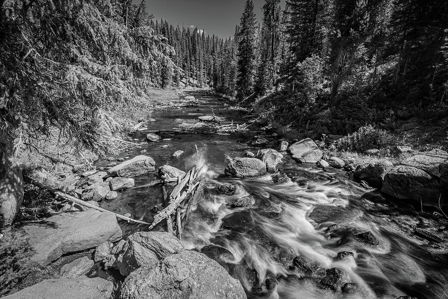 Downstream Photograph by Gary Felton