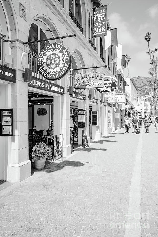 Downtown Catalina Island Black and White Photo Photograph by Paul Velgos