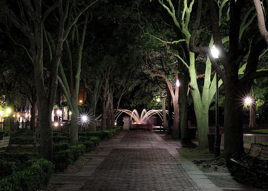 Downtown Charleston Park At Night Photograph by Dan Sproul