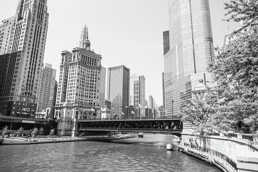 Downtown Chicago at DuSable Bridge Black and White Photo Photograph by Paul Velgos