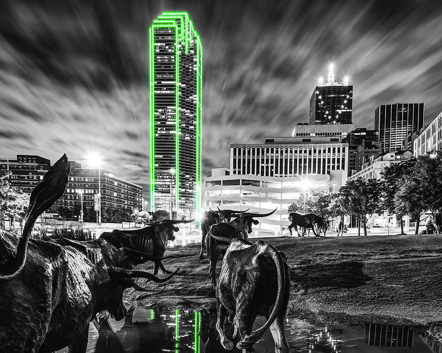 Downtown Dallas Skyline And Texas Longhorns Crossing The River In Pioneer Plaza - Selective Color Photograph by Gregory Ballos