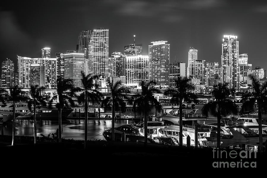 Downtown Miami Cityscape at Night Black and White Photo Photograph by Paul Velgos