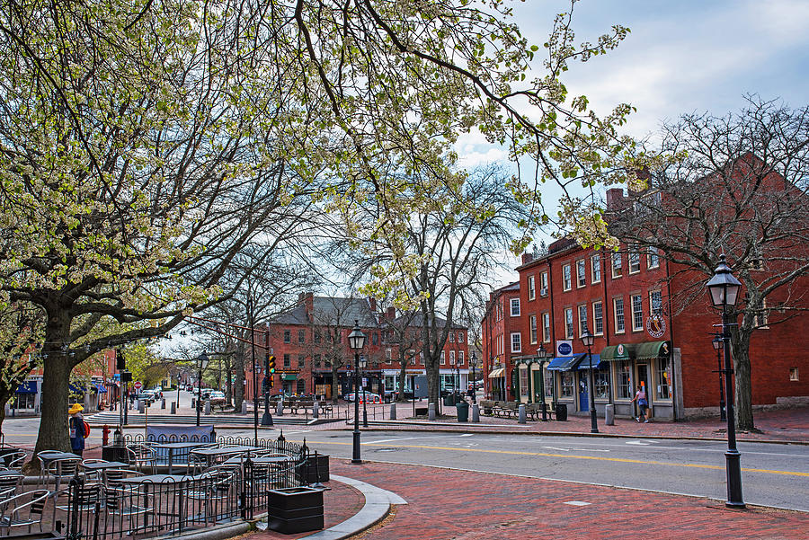 Downtown Newburyport MA Merrimack River Spring Tree Photograph by Toby McGuire
