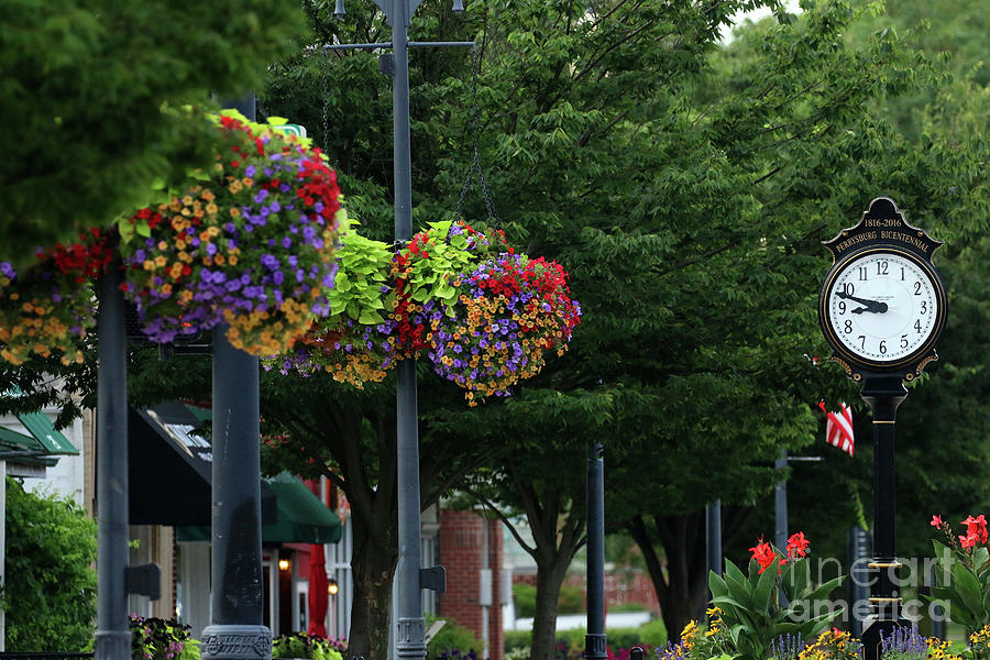 Downtown Perrysburg Flowers  9538 Photograph by Jack Schultz