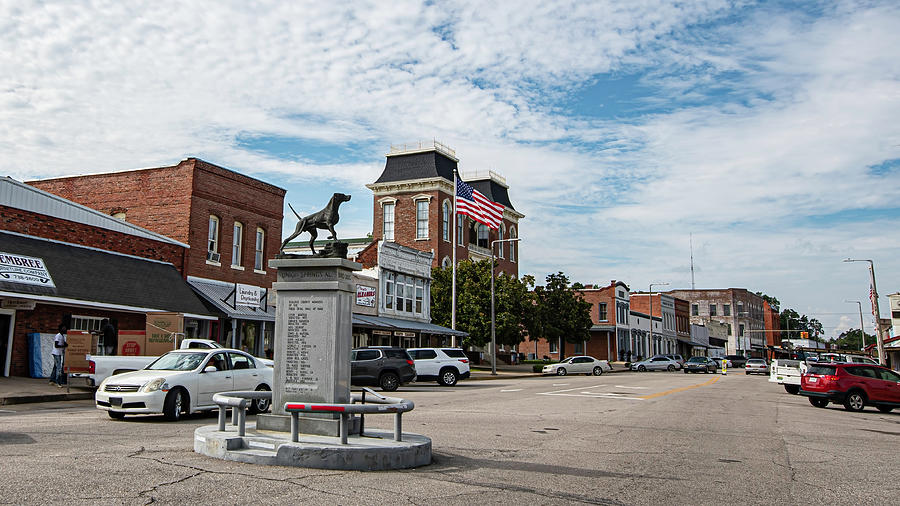 Downtown Union Springs with Bird Dog Statue Photograph by Jackie Nix ...