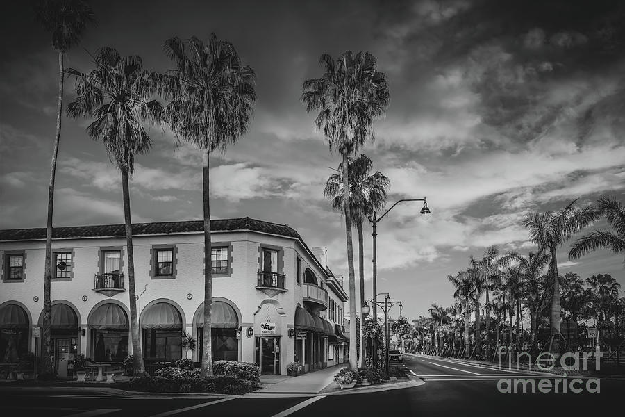 Downtown Venice Florida at Golden Hour BW Photograph by Liesl Walsh