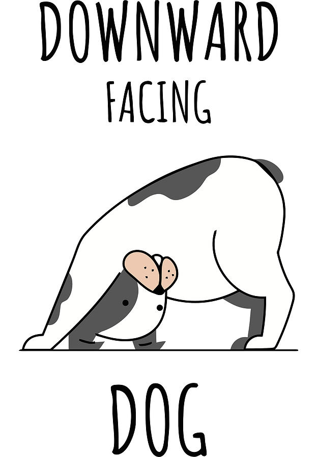 Downward Facing Dog Funny Cute Yoga Digital Art by Sweet Birdie Studio ...