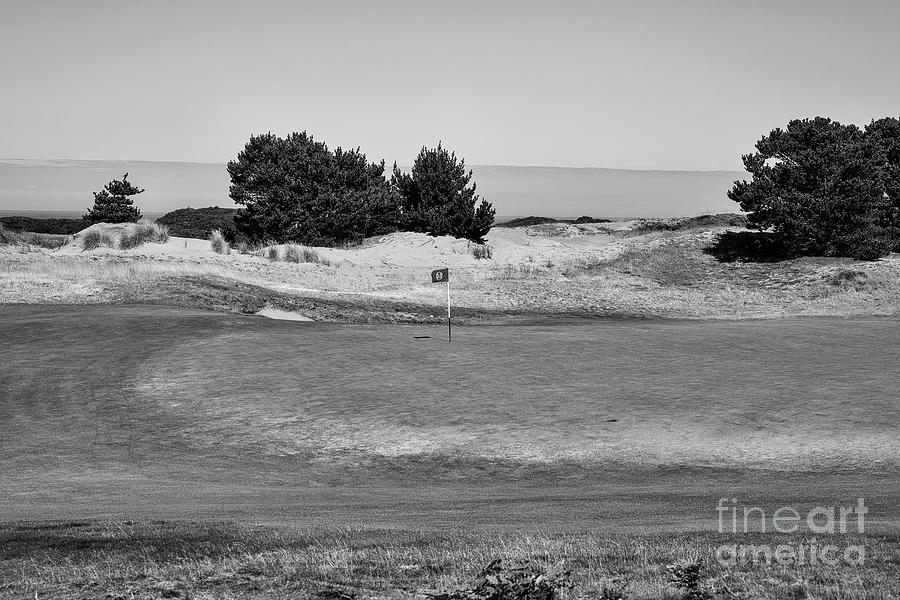 Nature Photograph - Downwind and Fast Green on Old Mac - BW by Scott Pellegrin