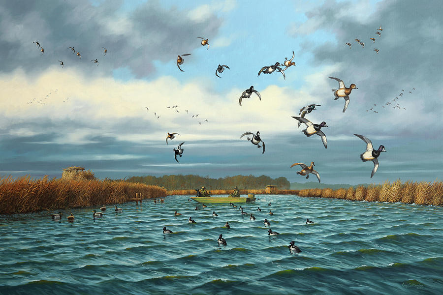 Diver Ducks Painting - Downwind Pass by Guy Crittenden