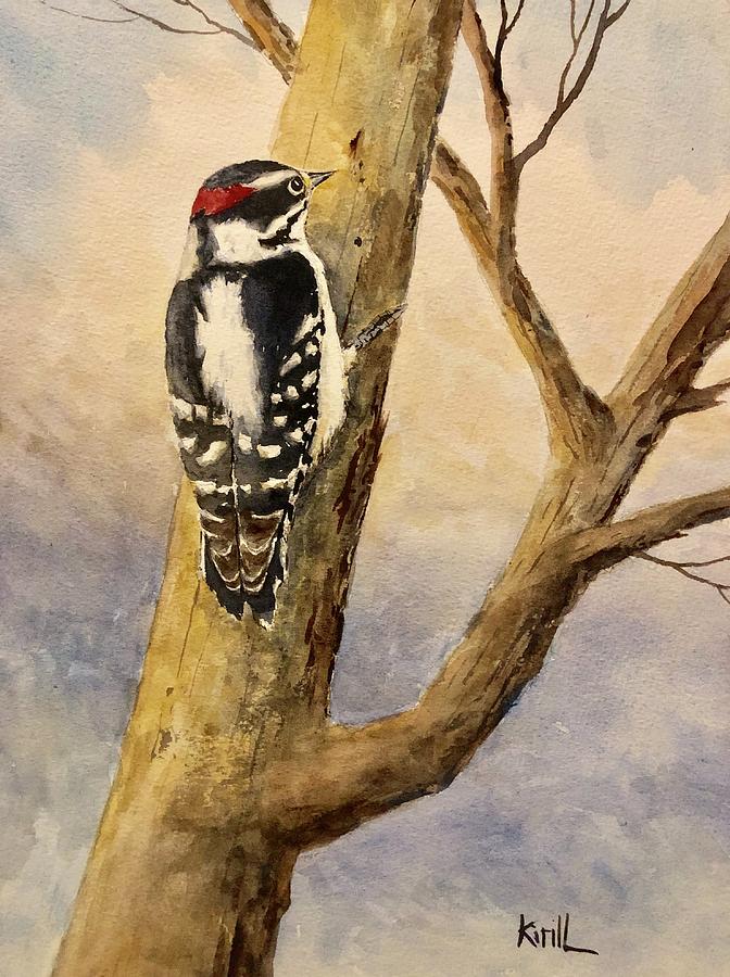 Downy Woodpecker Watercolor Painting By Always Wandering Art Fine Art