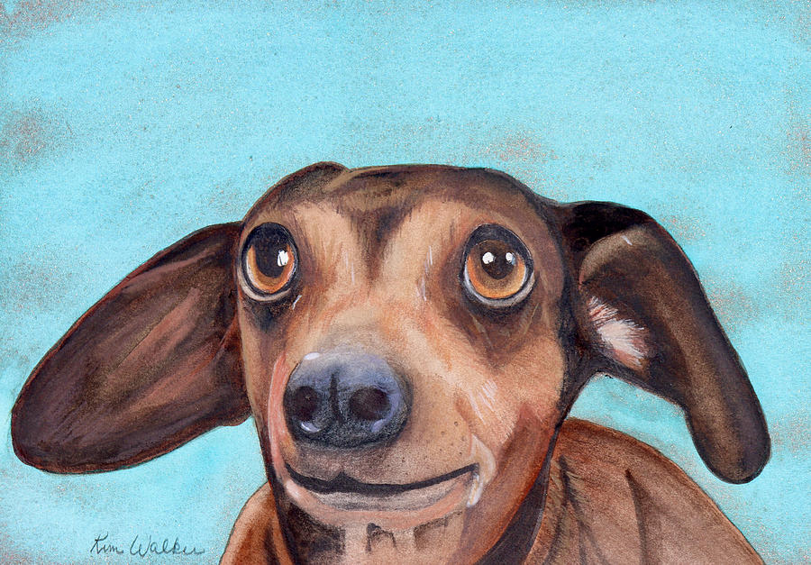 Doxie 2 Watercolor Painting by Kimberly Walker