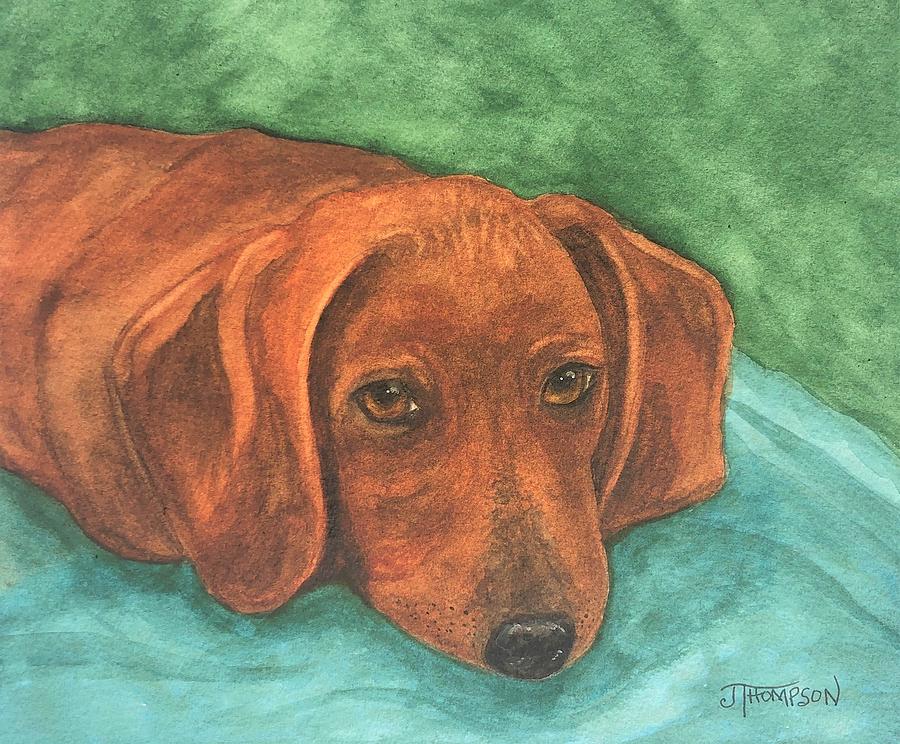 Doxie Painting - Doxie  by Judy Thompson