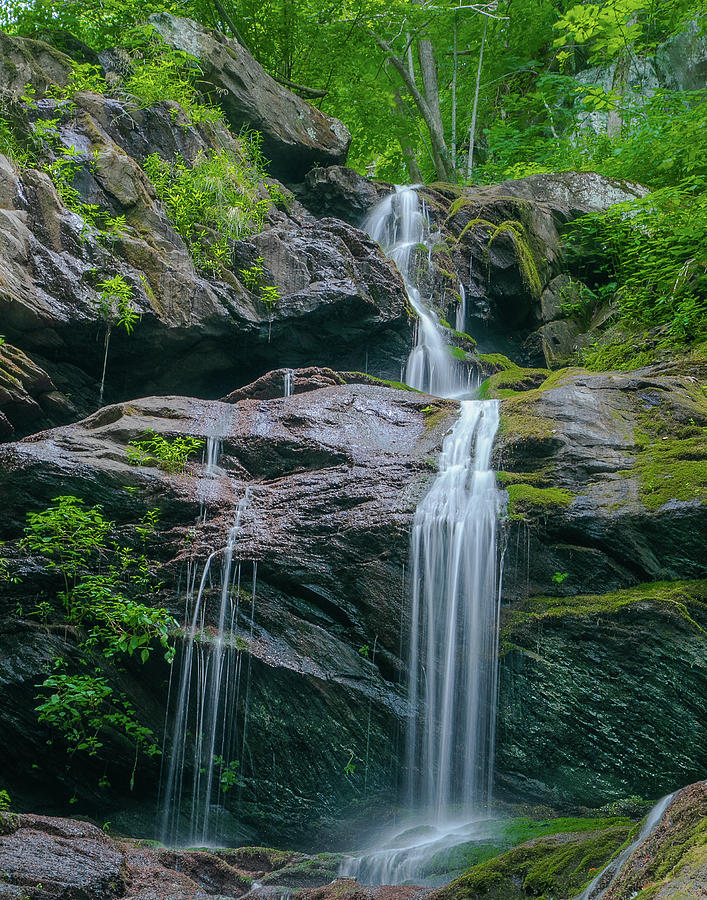 Doyles Waterfall Photograph by Jeanne Jackson