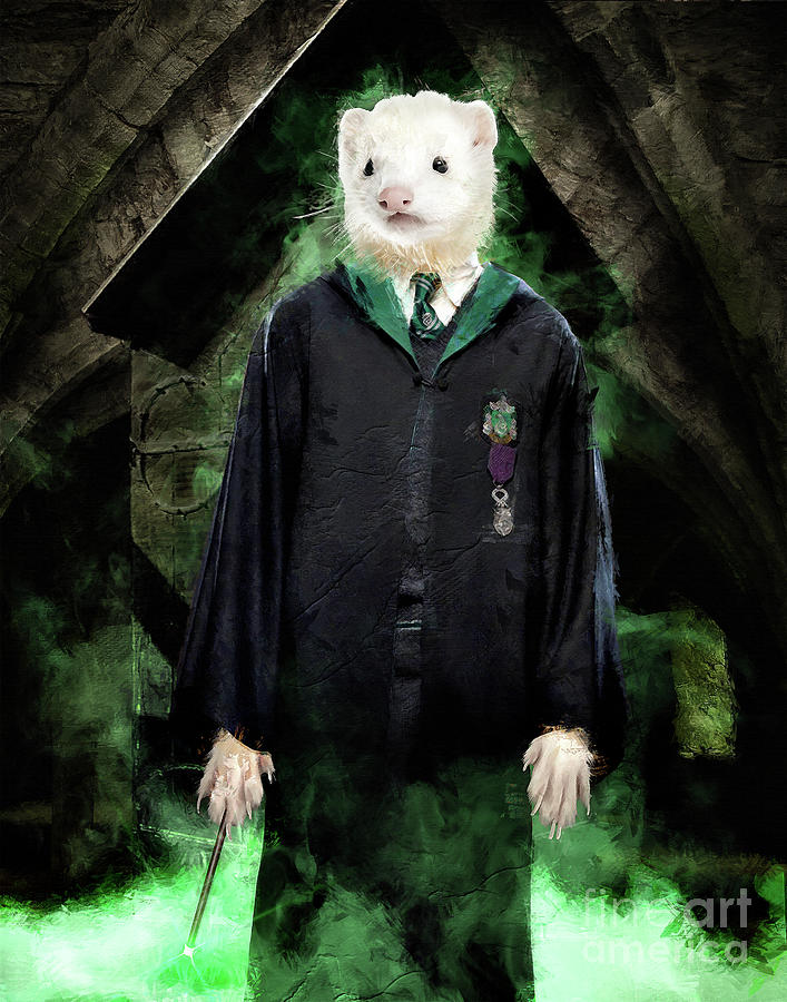 Picture of a draco